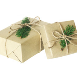 Christmas present or gift box isolated. Wrapped vintage craft paper gift box decorated with sprig of Christmas tree